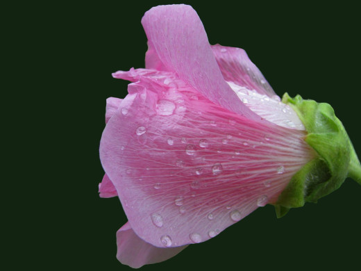 429905 (a): :1600x1200